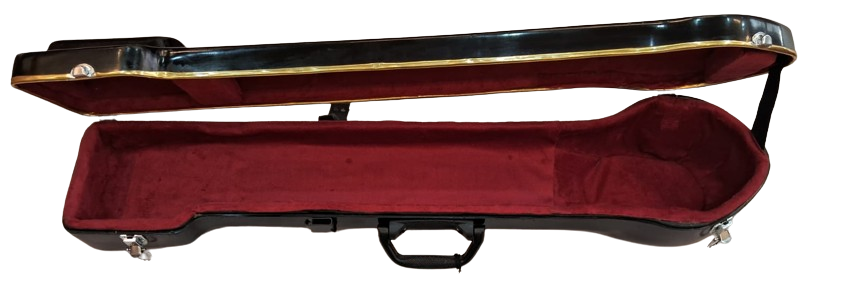 Rikhi Ram Esraj Case Standard Model