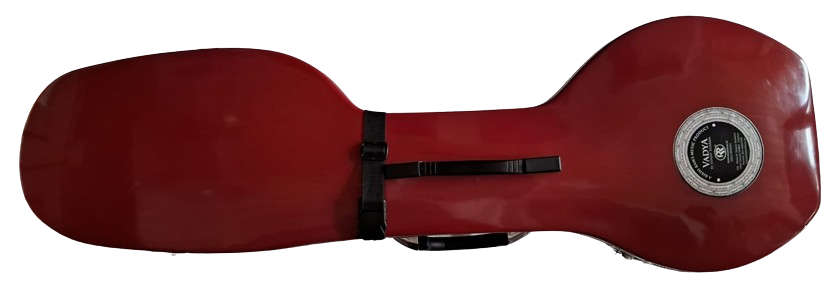 Rikhi Ram Saraswati Veena Case Standard Model