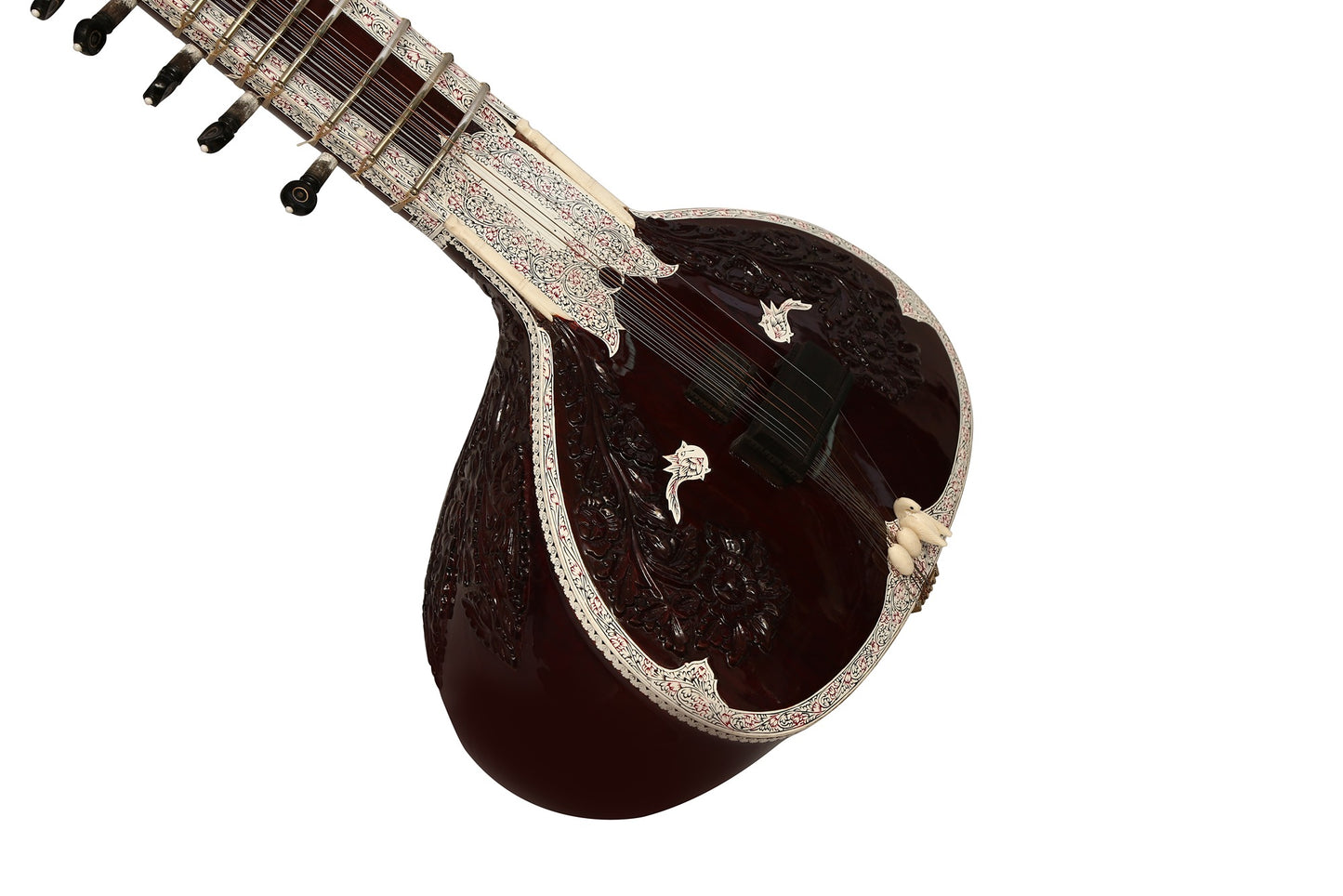 Ravi Shankar Professional Model