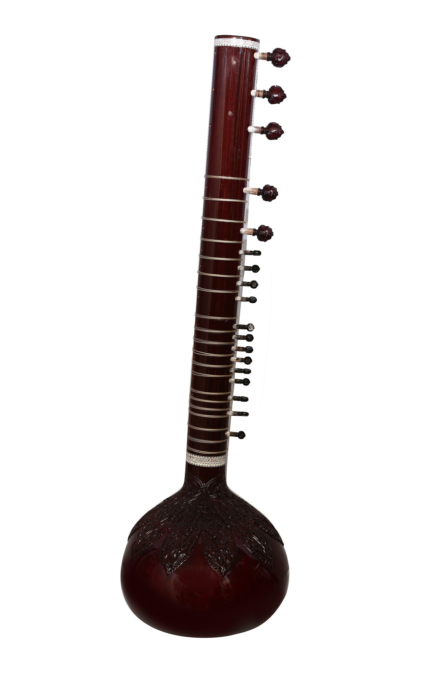 Ravi Shankar Professional Model