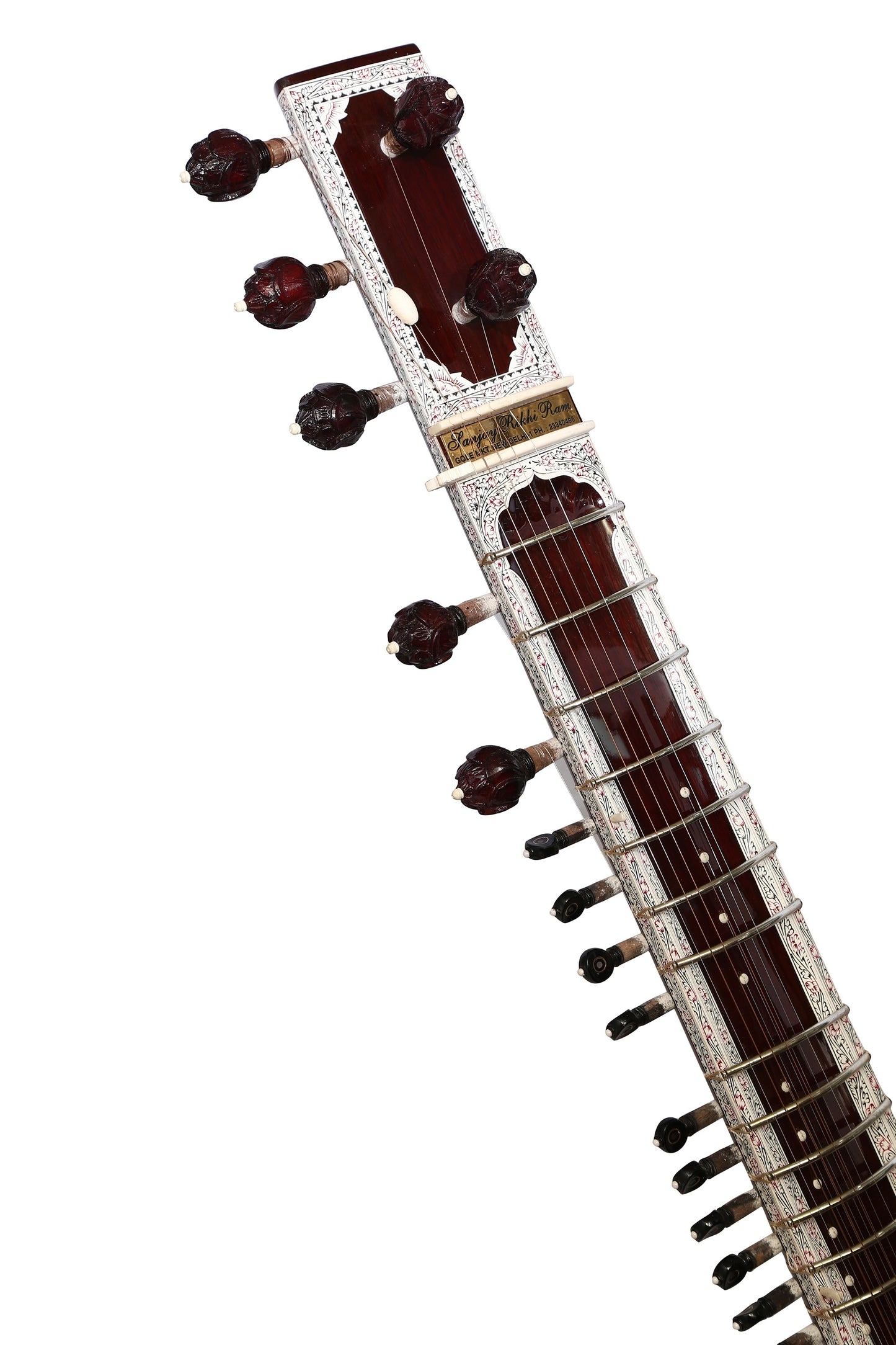 Ravi Shankar Professional Model