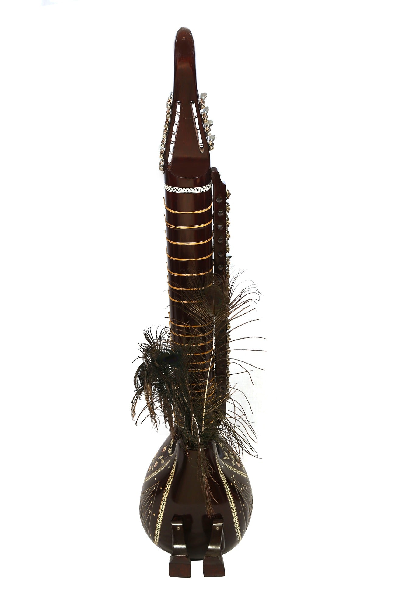 Taus Professional Model