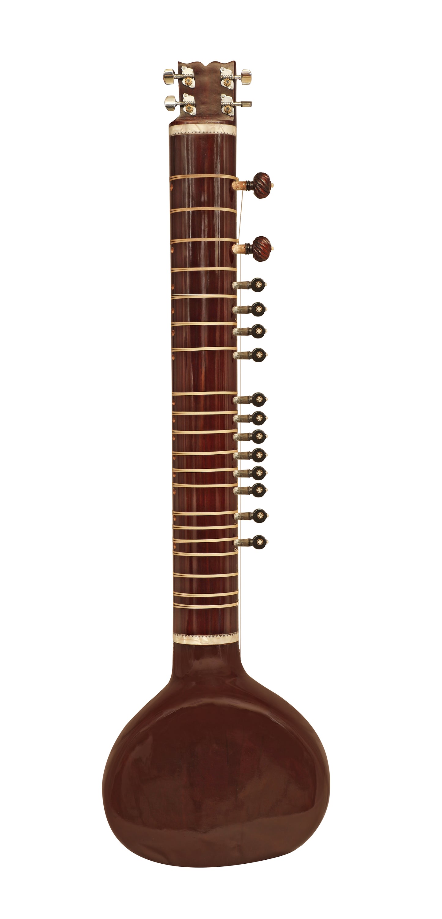 Studio Sitar Concert Premium Model