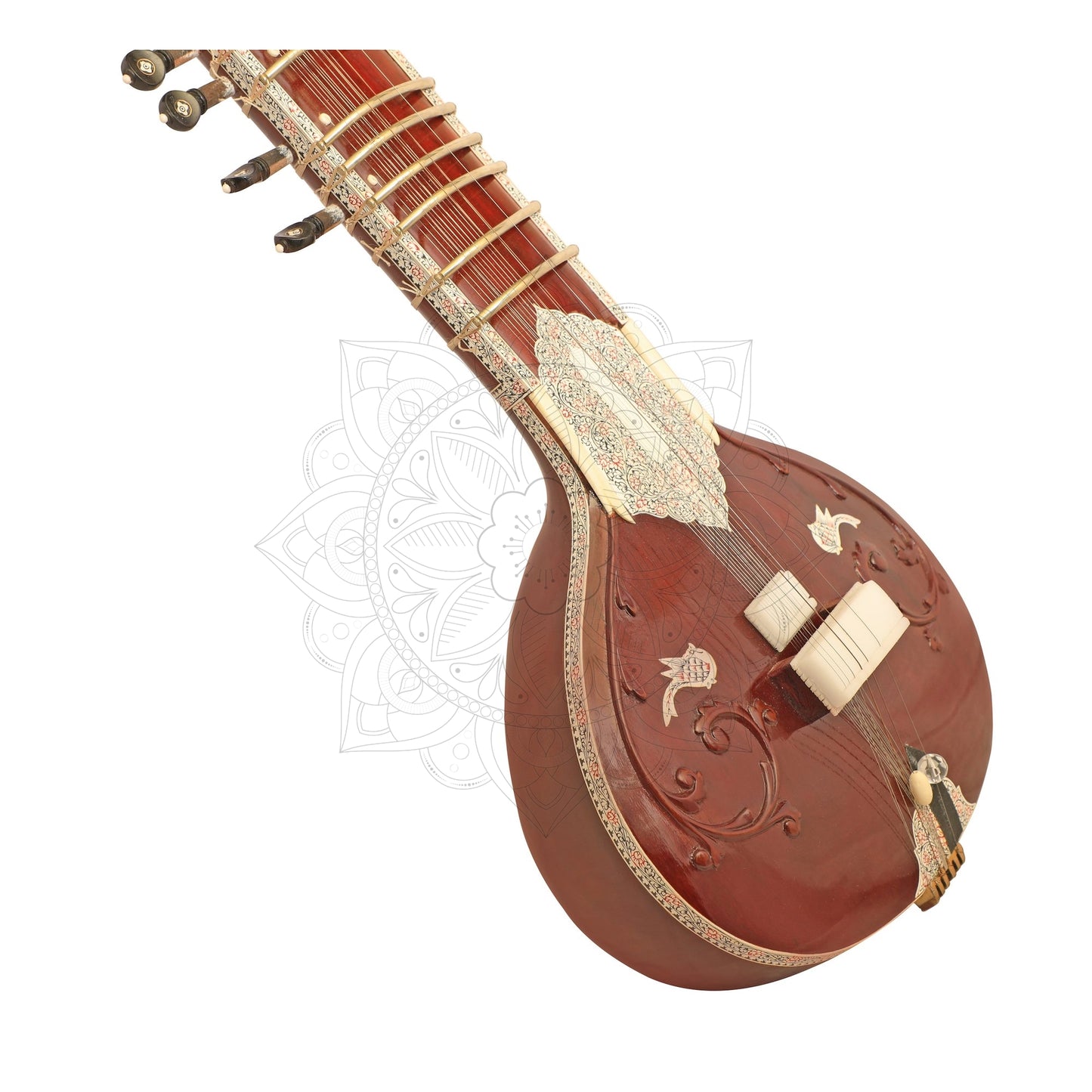 Studio Sitar Concert Premium Teak Model
