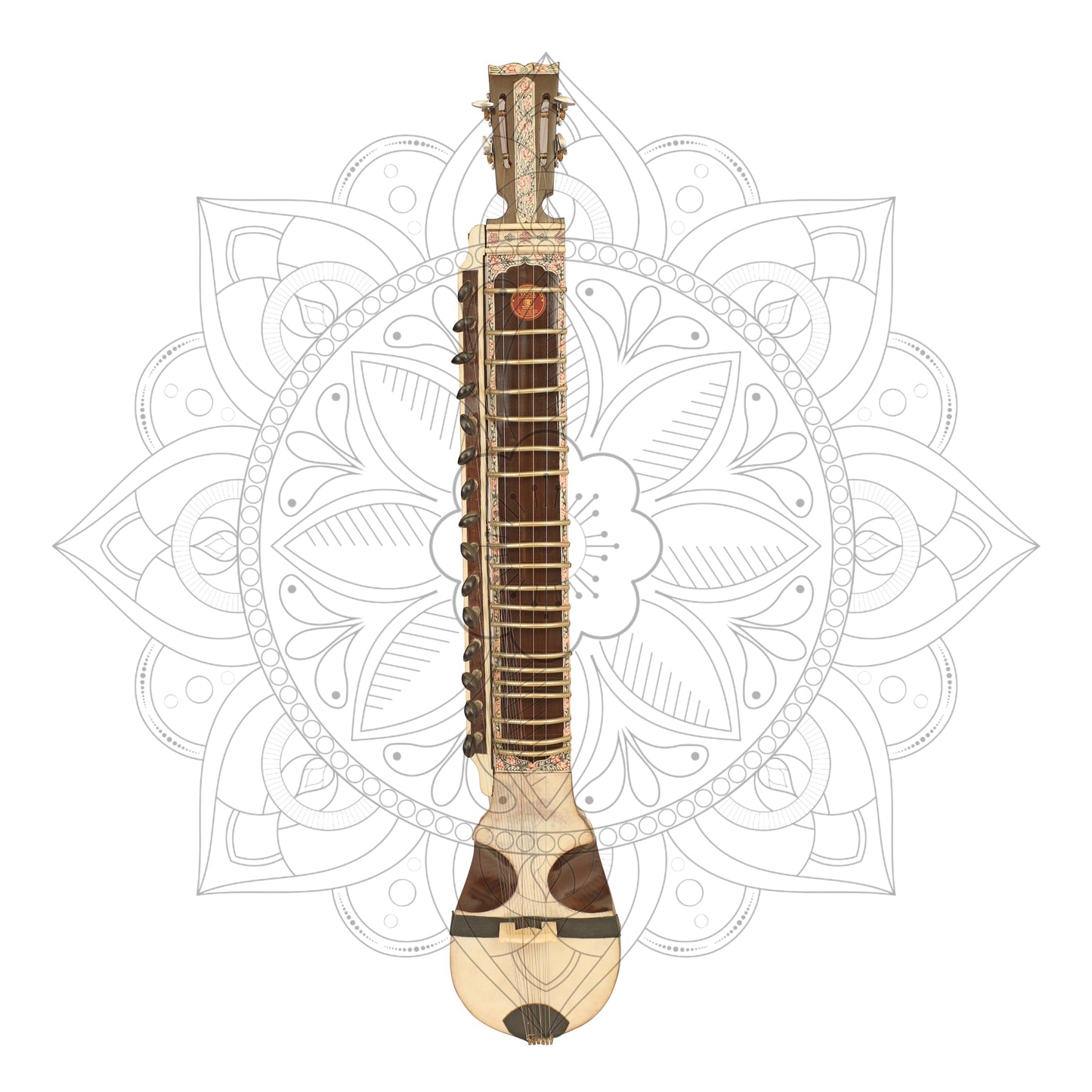 Esraj Concert Model