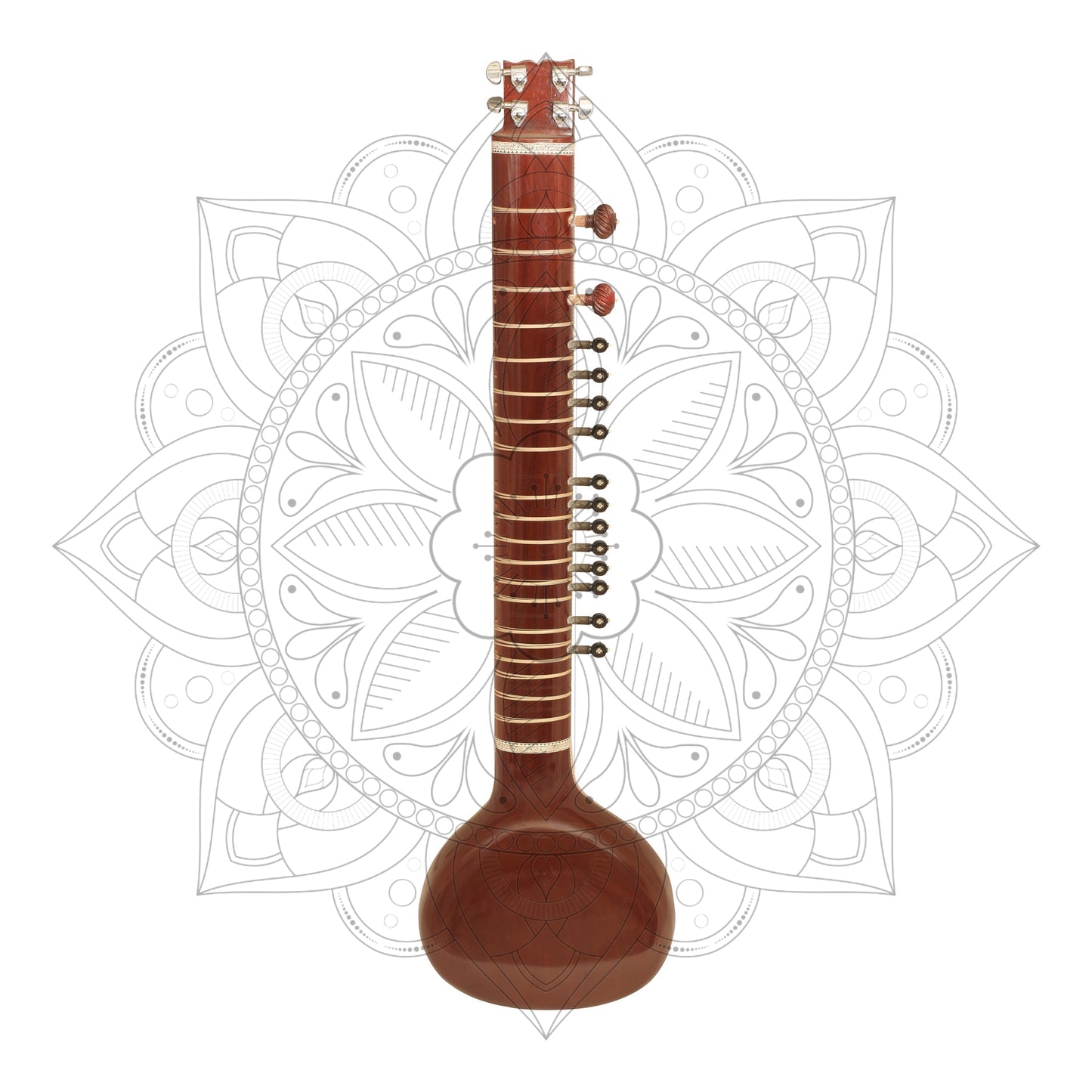 Ravi Shankar Studio Premium Concert