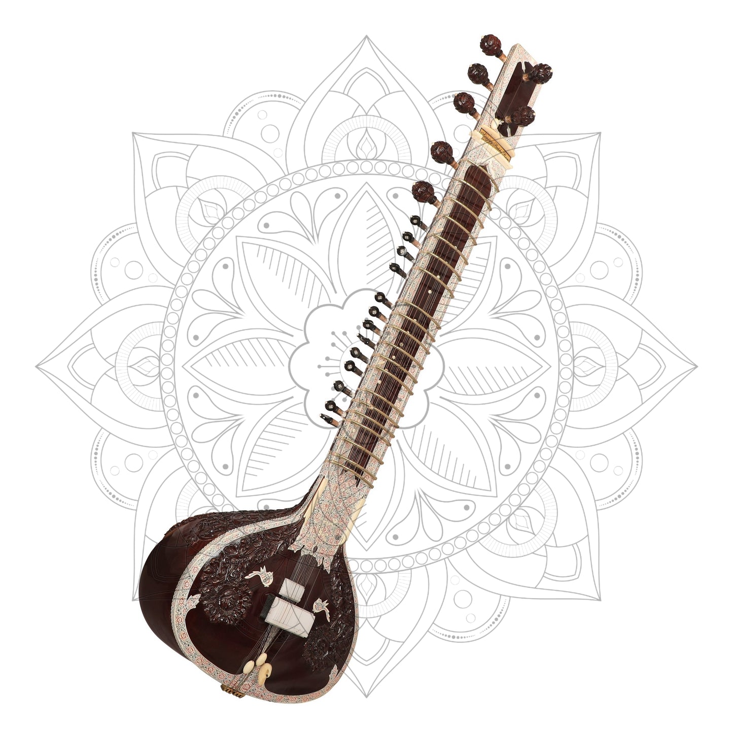 Ravi Shankar Concert Model