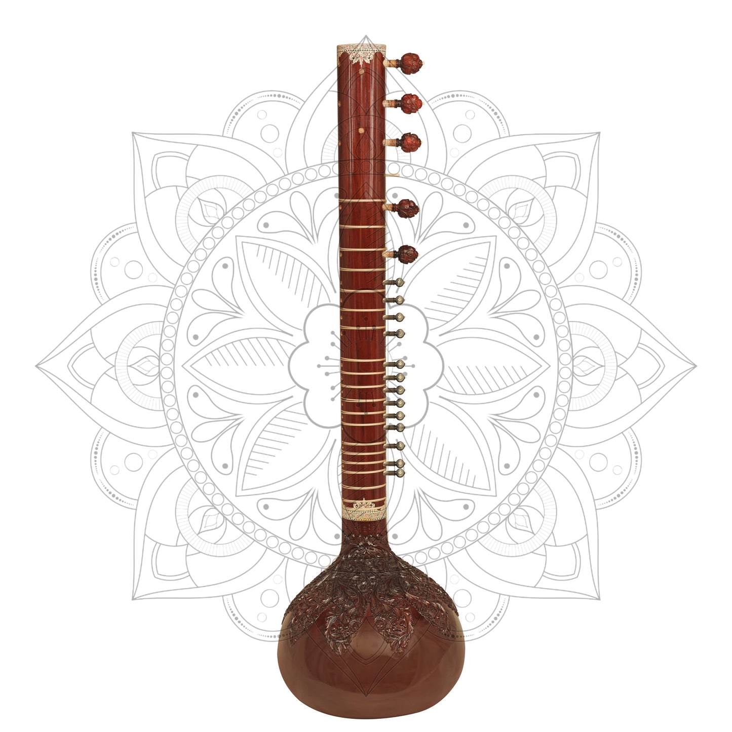 Ravi Shankar Concert Model