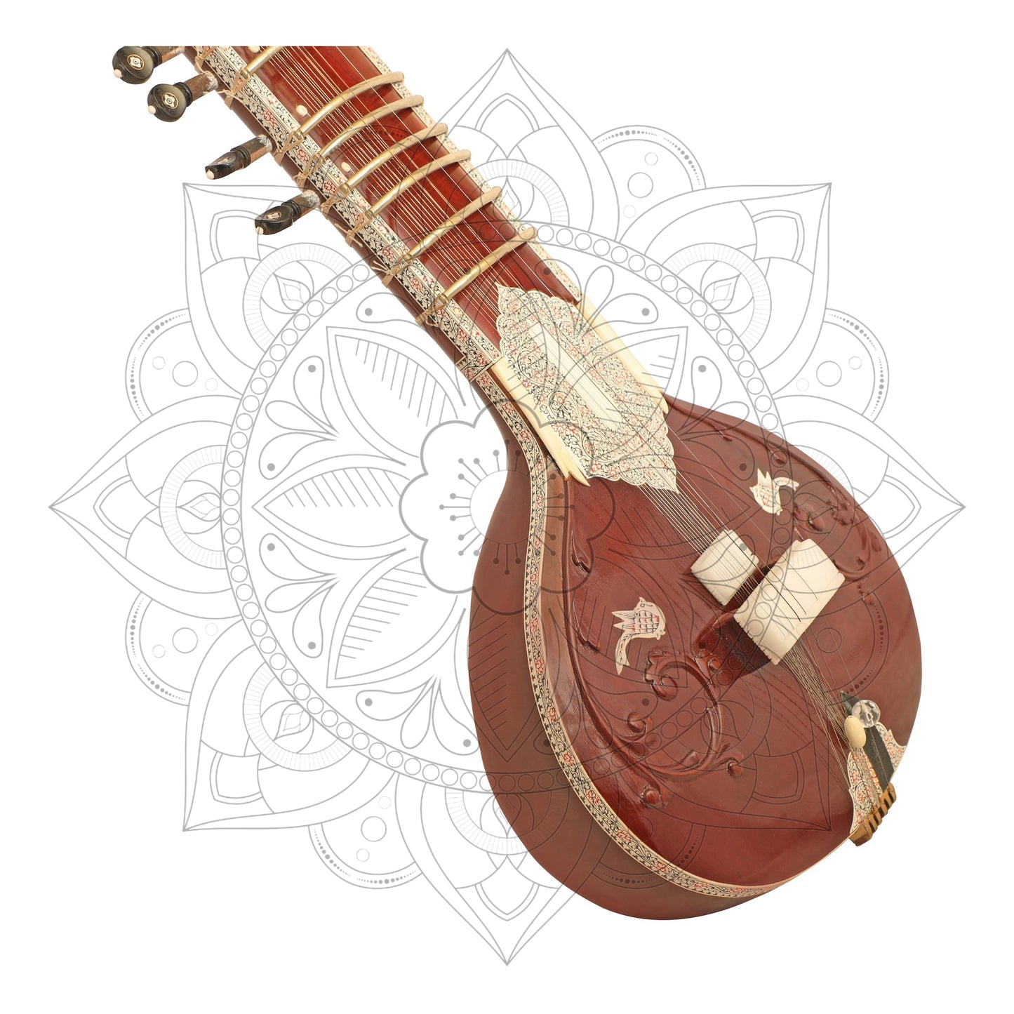 Ravi Shankar Studio Premium Concert