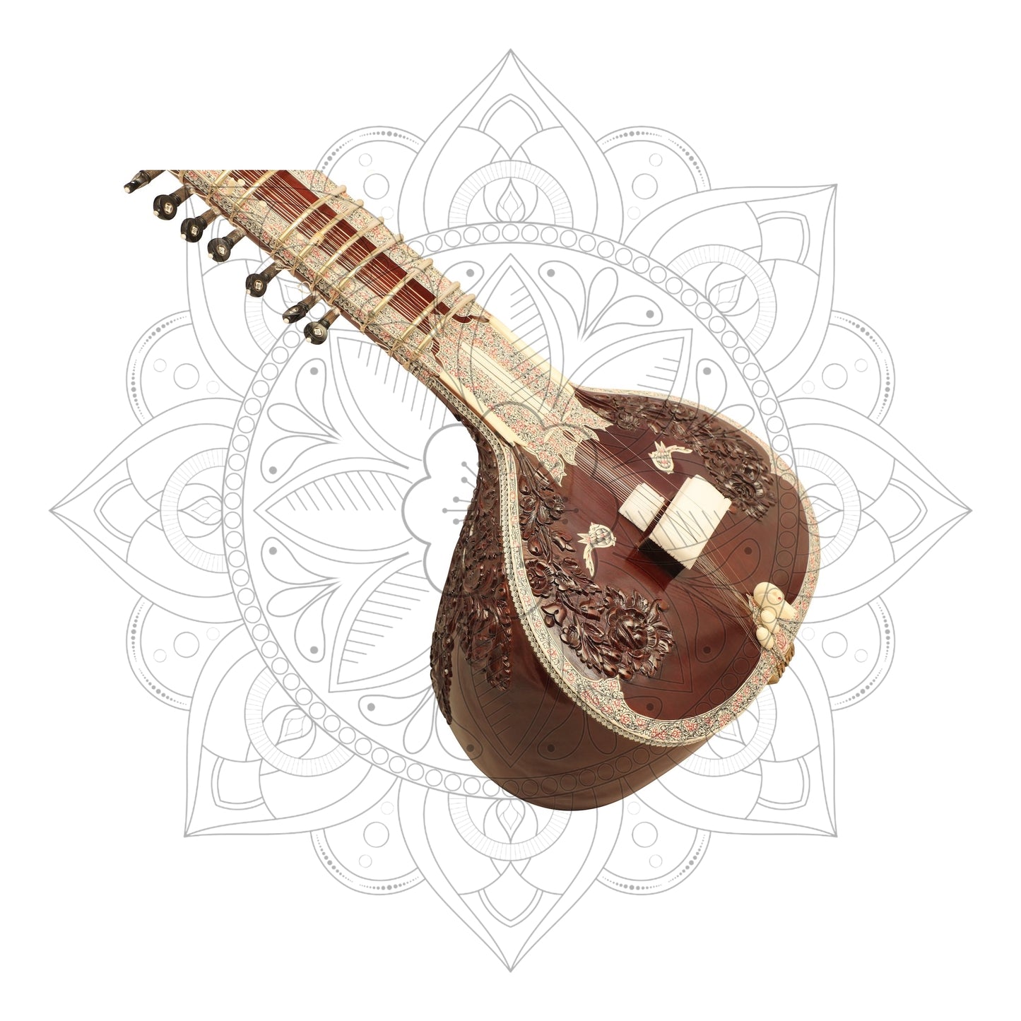 Ravi Shankar Concert Model
