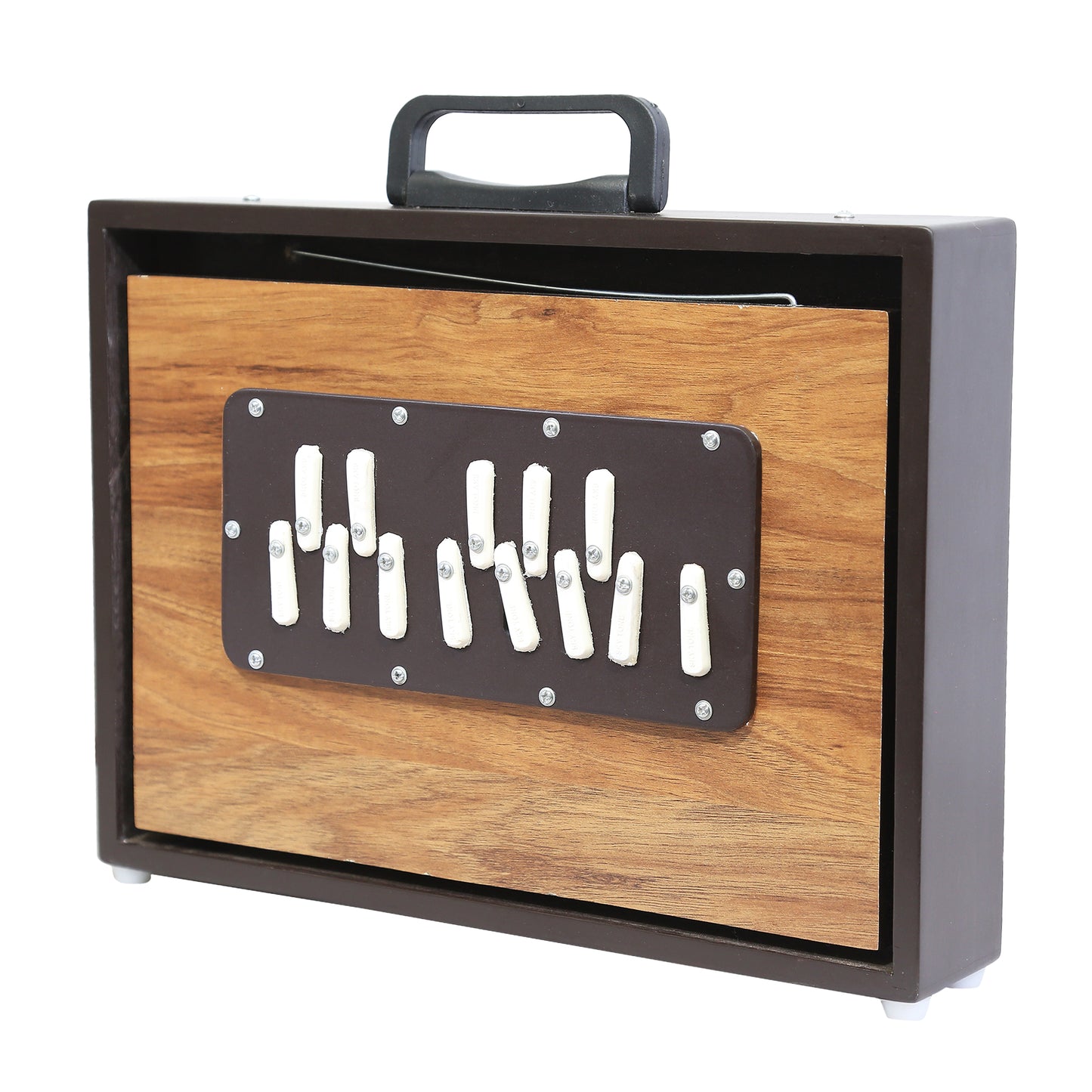 Shruti Box Concert Premium Model