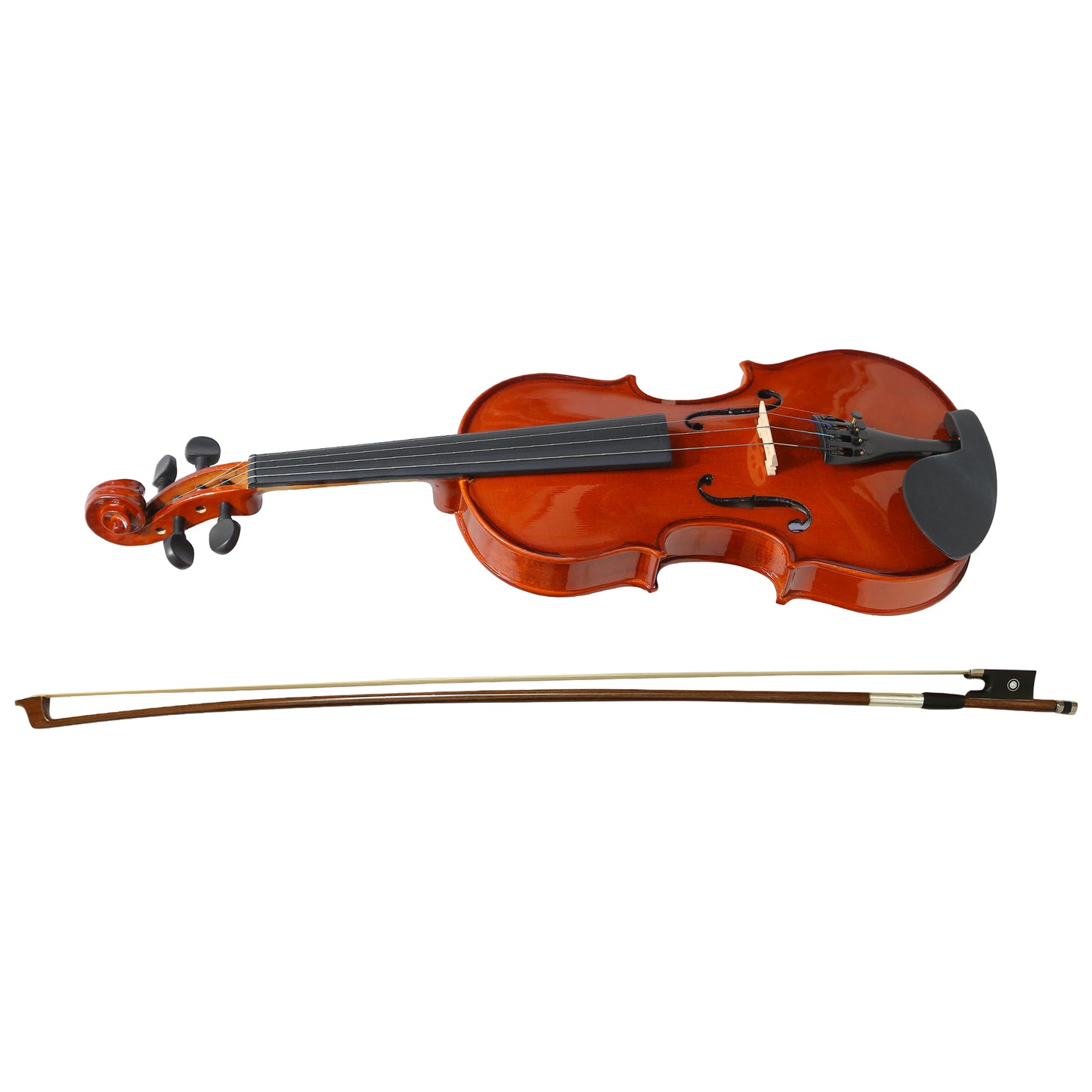 Violin Concert Model