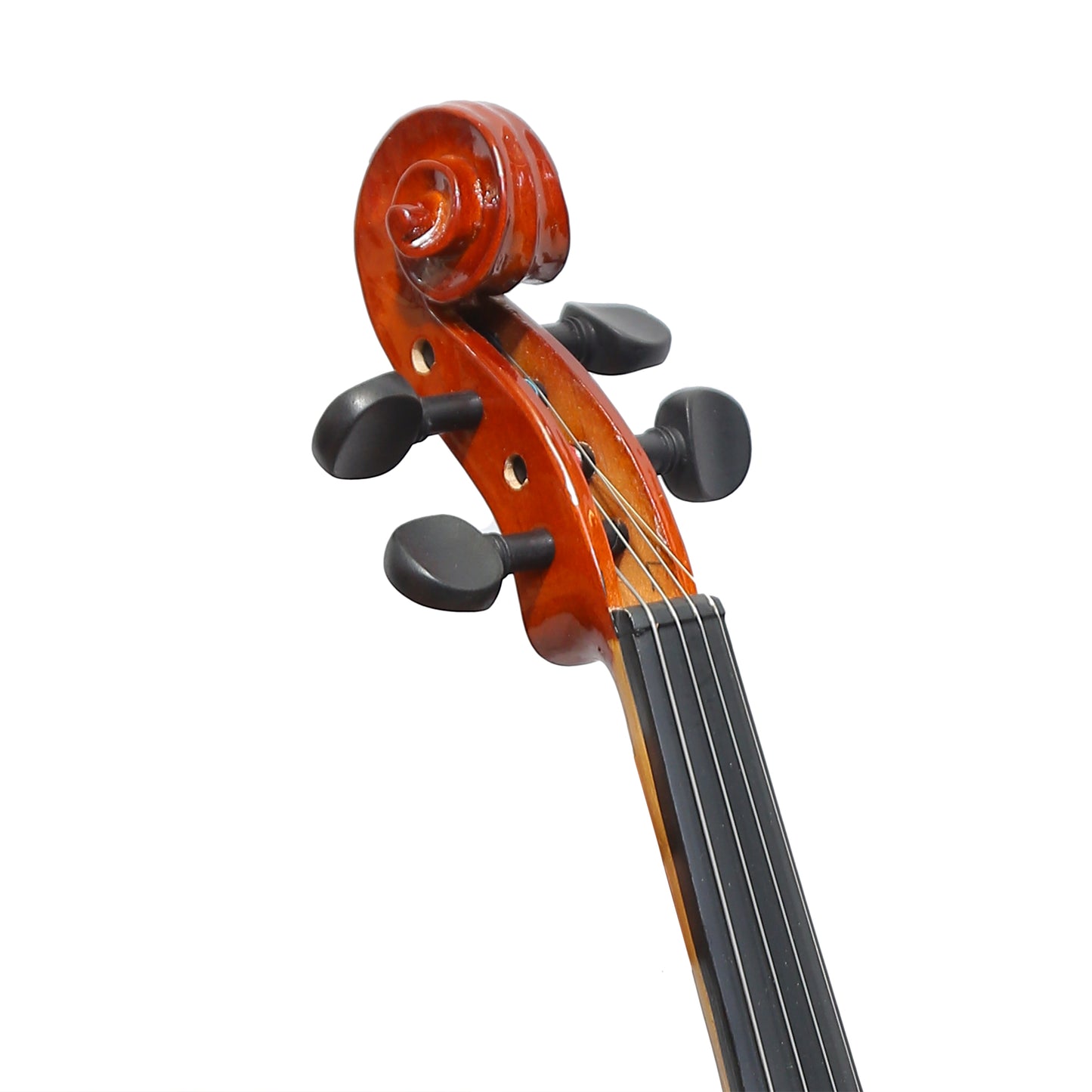 Violin Concert Model