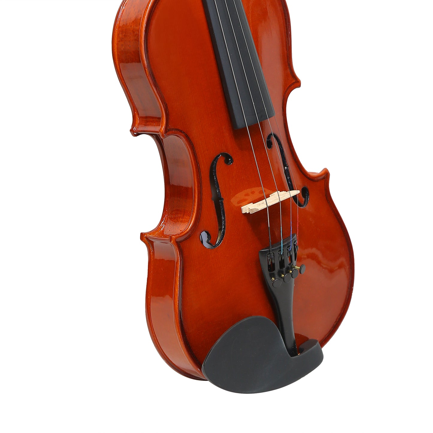Violin Concert Model