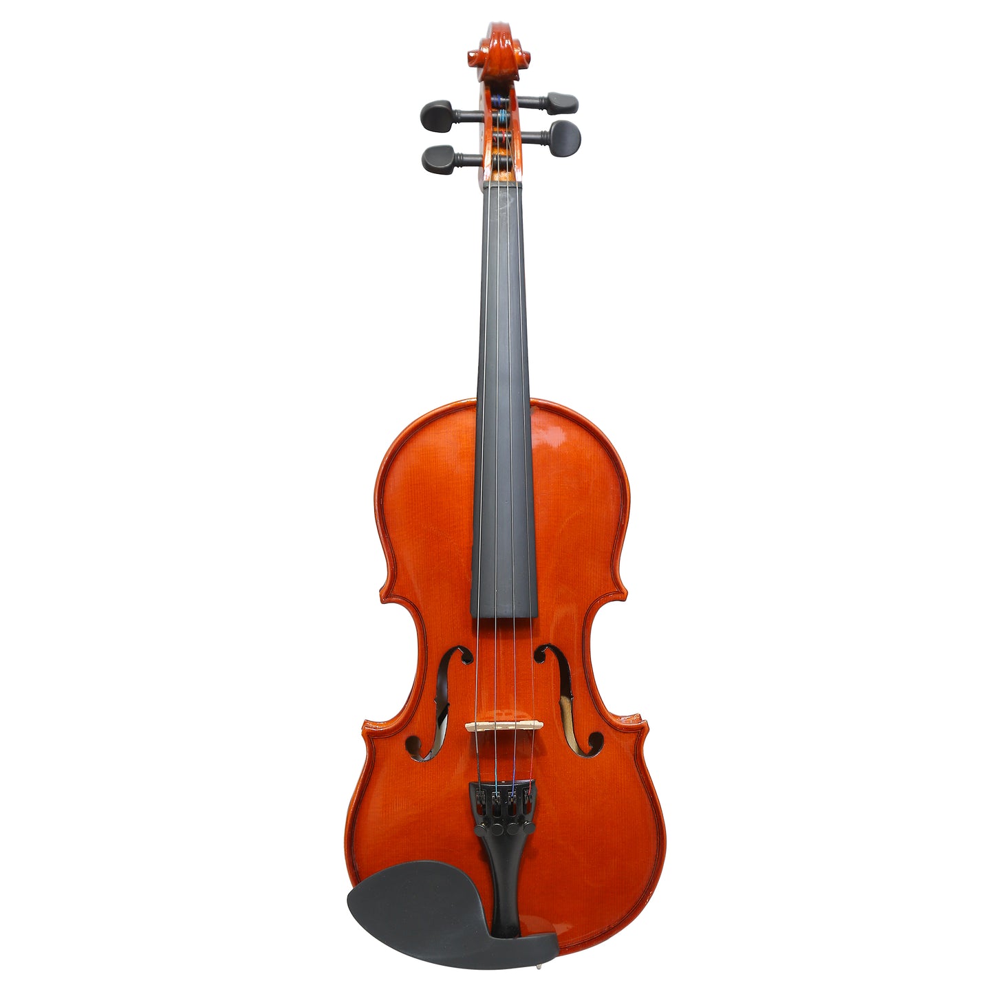 Violin Concert Model
