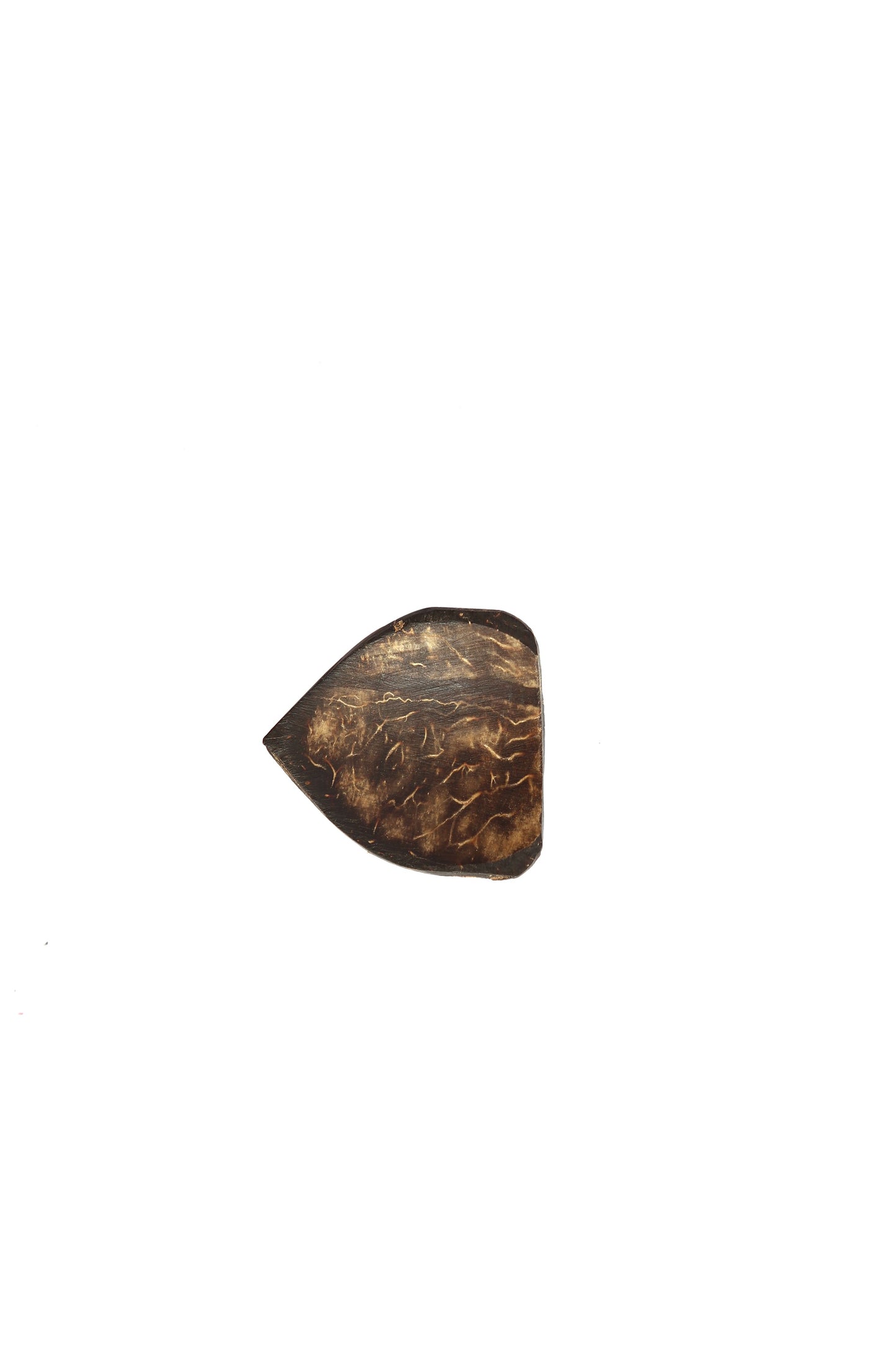 Java Professional Model - Sarod Pick