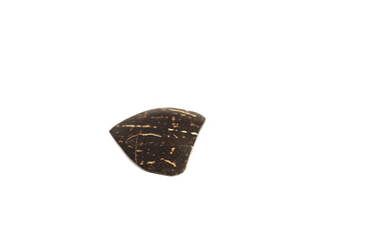 Java Professional Model - Sarod Pick