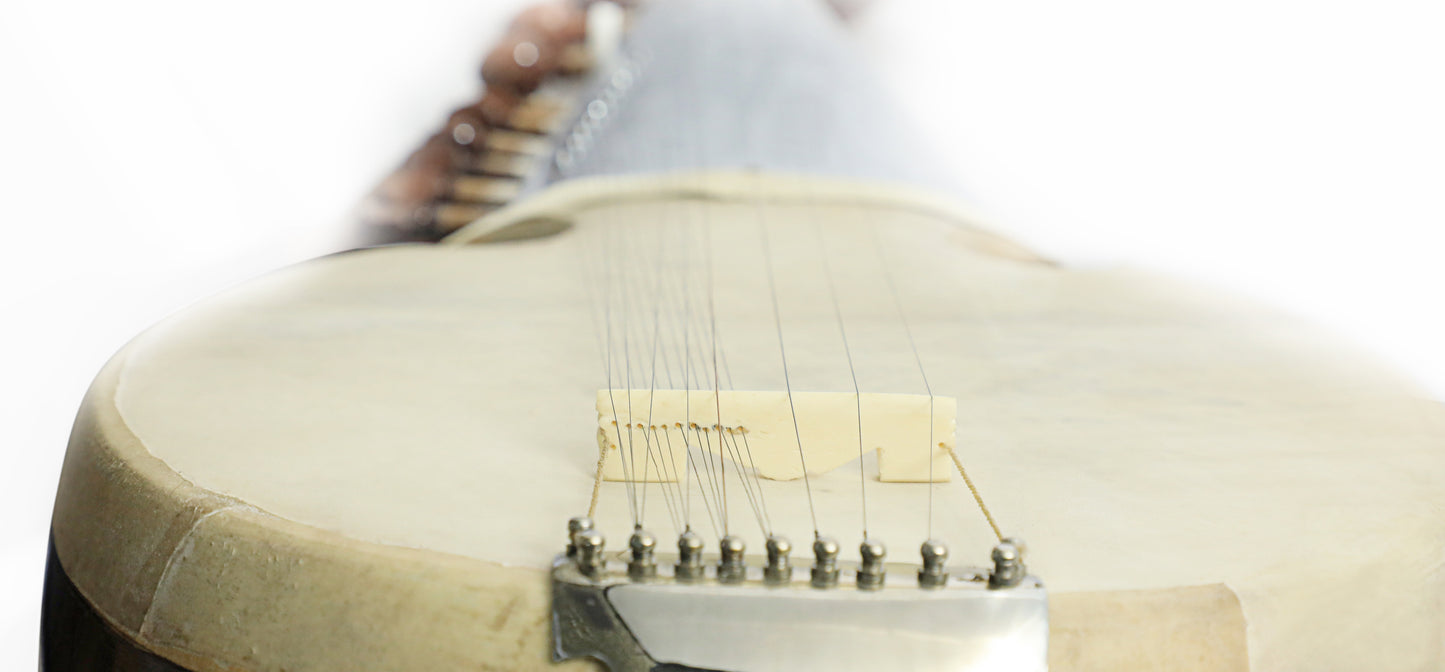 Amjad Ali Khan Style Sarod Concert Model