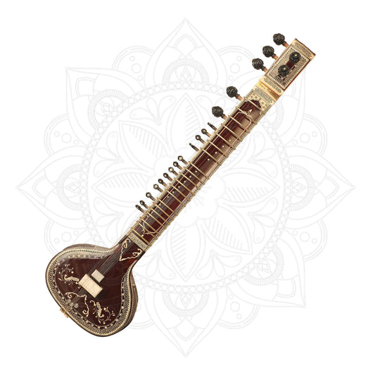 Anarkali Rikhi Ram Concert Premium Model