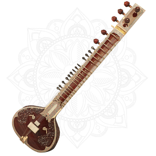 Ravi Shankar Concert Model