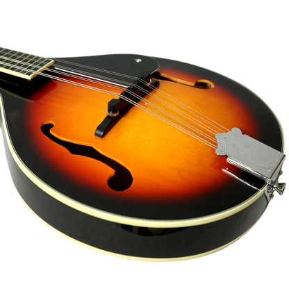 Mandolin